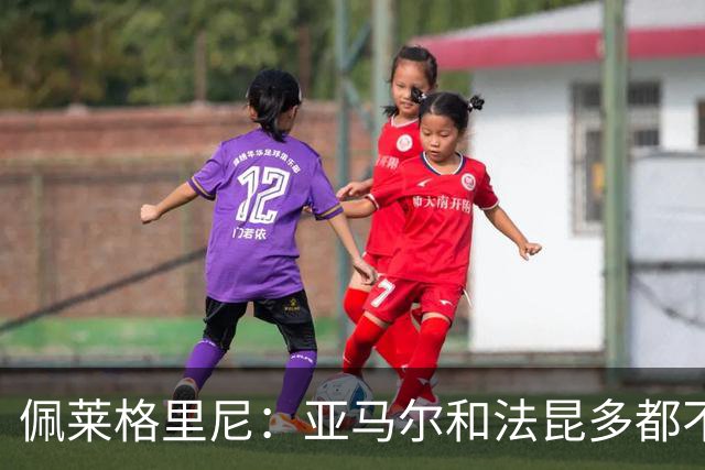 佩莱格里尼：亚马尔和法昆多都不该这么做，但没人应该被罚下
