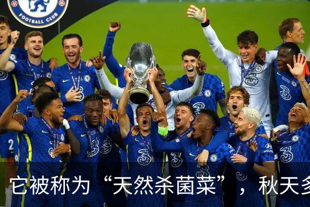 它被称为“天然杀菌菜”，秋天多吃，一预防感冒 ，二健脾开胃促消化
