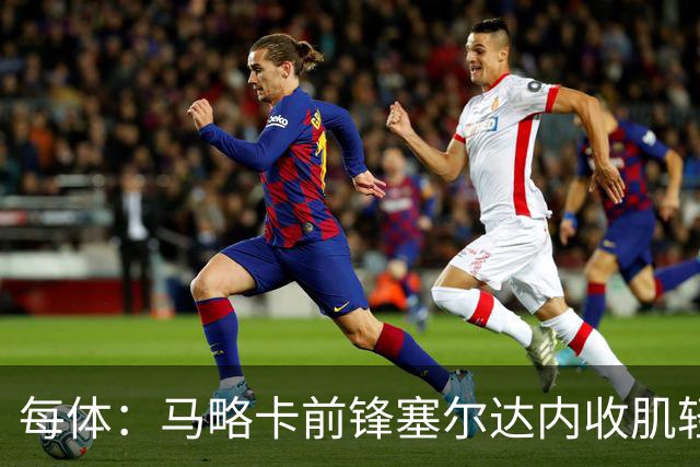 每体：马略卡前锋塞尔达内收肌轻微撕裂，预计缺阵2周