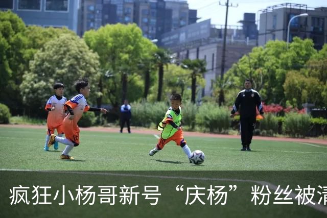 疯狂小杨哥新号“庆杨”粉丝被清零