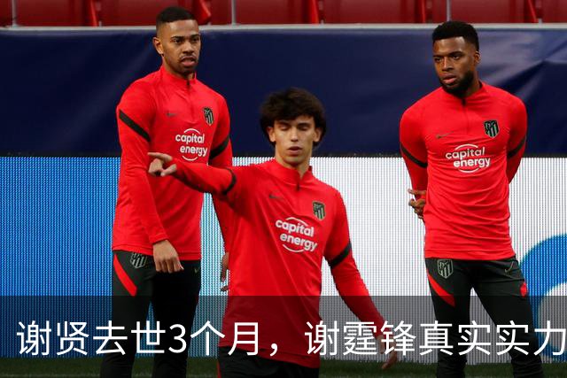 谢贤去世3个月，谢霆锋真实实力被扒，难怪王菲对他不离不弃