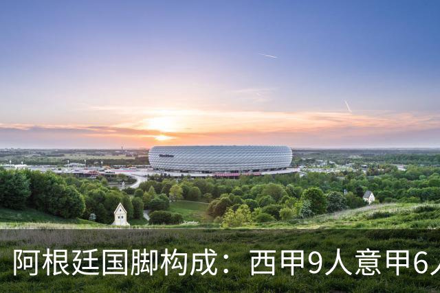 阿根廷国脚构成：西甲9人意甲6人 阿本土仅1人