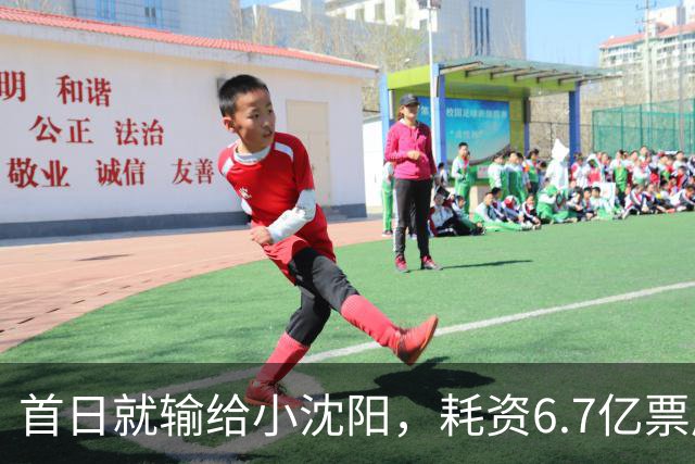 首日就输给小沈阳，耗资6.7亿票房仅73万，2026年又诞生票房惨案