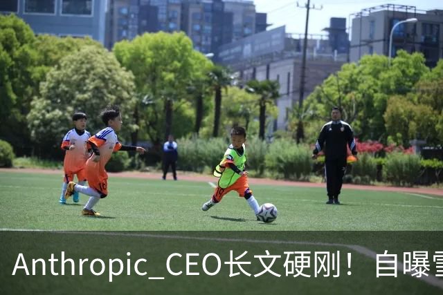 Anthropic CEO长文硬刚！自曝雪藏Mythos 4个月，为AI安全自断财路