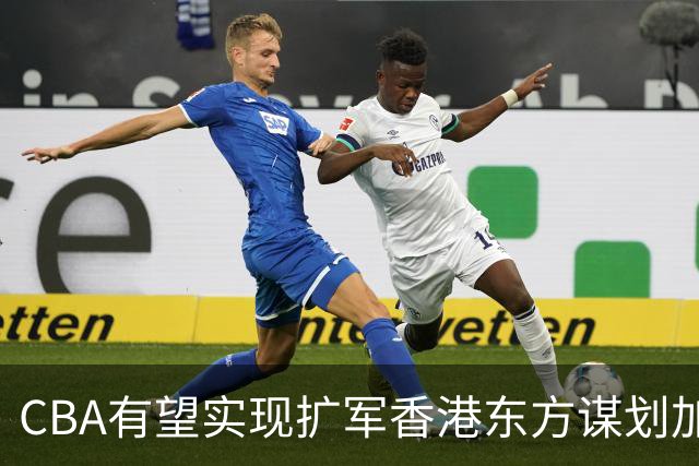 CBA有望实现扩军?香港东方谋划加入中职篮联赛