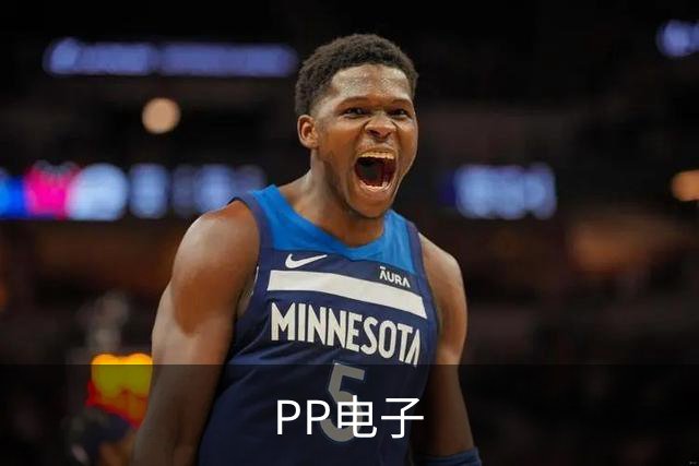 PP电子公司介绍